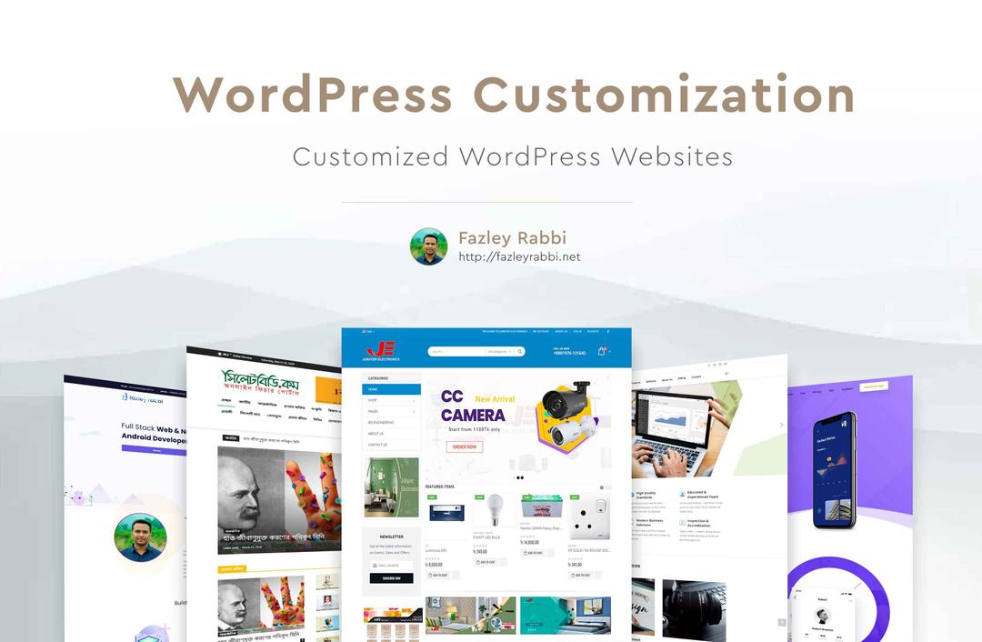 Wordpress Website Customization